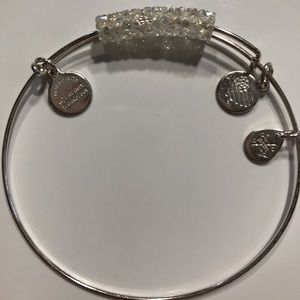 Alex and Ani Fine Rocks Bangle - Ice Storm